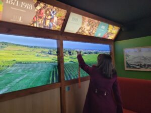 MUSEO DEI VINI DELL'ALSACIA COLMAR